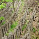 이석용농장 이미지