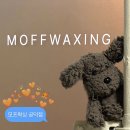 여자 브라질리언 왁싱 잘하는곳 공덕 모프왁싱 후 관리 가격