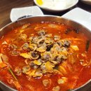 유성맛집민들레집뜰 | 대전유성온천역 맛집 봉명동 조기종의 향미각 알꼬막짬뽕 동죽짬뽕 짜장면 리얼 후기