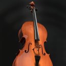 첼로 (초등) 이미지