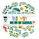 와이디스크린골프