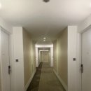 &lt;스위트 호텔 제주&gt; 제주, 1인 여행 후기