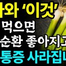 대파와 함께 먹으면 보약되는 음식 3가지와 특급 레시피, 대파보관법 총정리! 값비싼 혈액순환제 대신 &#39;이것&#39; 드세요! I 혈액순환 혈관 이미지