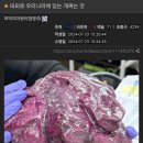 심장박물관 이미지