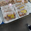 사랑빵집여수꿀빵 | 여수 꿀빵 맛집 여수꿀빵 사랑빵집 내돈내산