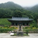 삼화사철조노사나불좌상 이미지