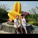 광일농장 이미지