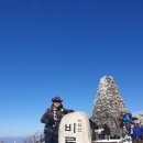 구룡소교량 | 2020.01.11(토) 사진으로 보는 원주 치악산 산행일기