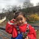 에벤에셀농장 이미지