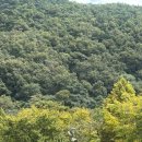 대일오토 이미지