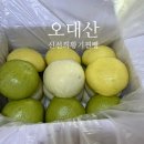 오대산신선희황기찐빵 이미지