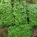 성환농약사 이미지