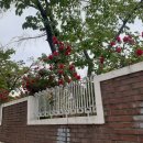 농성초등학교 이미지