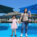 부여양송이마을 이미지