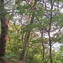 등구농장 이미지