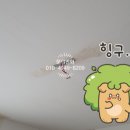 남도전기조명 이미지