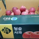 자운농장 이미지