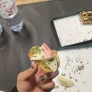 3L[초급] 네이버블로그