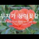 (찬242)황무지가 장미꽃같이 D#_2023.05.17 / 화음주법 3H, 5H, 옥타브화음 / 분산화음(1753) 이미지