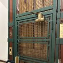 호텔 나무(Hotel Namoo) | 로마 가성비 숙소 후기 / Bettoja Atlantico Hotel / 베토자 아틀란티코 호텔 / classic Double room