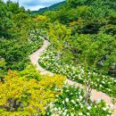 부산 욜로 갈맷길 10코스=거리=10km~소요시간=3시간 15분 이미지