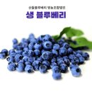 고성식품 이미지
