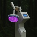 모모의꿈 | 분당 두피 탈모 전문 관리, 병원 이상 만족주는 모모의꿈