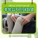 새건강정형외과의원 이미지