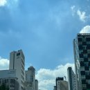 지금은 세탁중 이미지