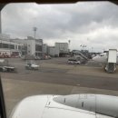 건(703) | 제주도 출장 티웨이항공 편명 TW703 아침 6시50분 비행기 이용 후기