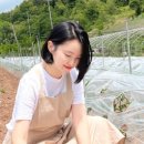 금빛농산물 이미지