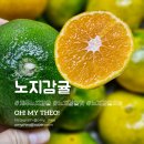 빛이랑 | 제주 노지감귤 뜻 효능 맛 빛이랑 3kg 후기