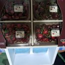 지희농장 이미지