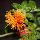 바로스탑한의원 이미지