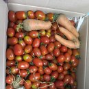 도반농장 이미지