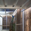 경상북도 야생동물 구조관리센터 이미지