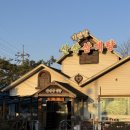 산양사거리 | [화성] 융건릉 맛집, 기안말 산삼 삼계탕