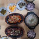 강남고속관광투어 이미지
