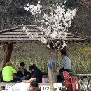 이종철 농장 이미지