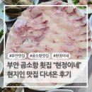 부안회집 | 부안 곰소항 횟집 &#34;현정이네&#34; 현지인 맛집 다녀온 후기