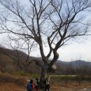 9정맥(한남금북)6구간 (모래재~큰산~구례고개)산행 이미지