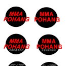 포항이종격투기 이미지