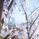 용산-102 이미지