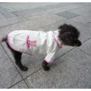 엄마손동물병원 이미지