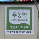 문양역길 | 문양역 맛집 문양 미나리 정육식당