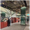 현대 | 최자 복분자주 더현대 구매후기 살까 말까 고민하지마