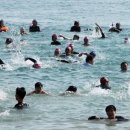 덕포 펭귄 이미지