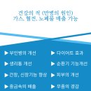 힐링다해소 네이버블로그