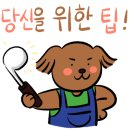 밀플렉스