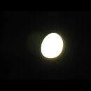 달 Daum카페